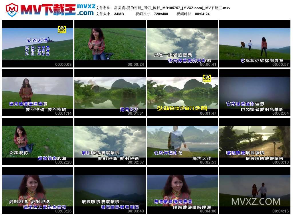 甜美真-爱的密码_国语_流行_MB105757